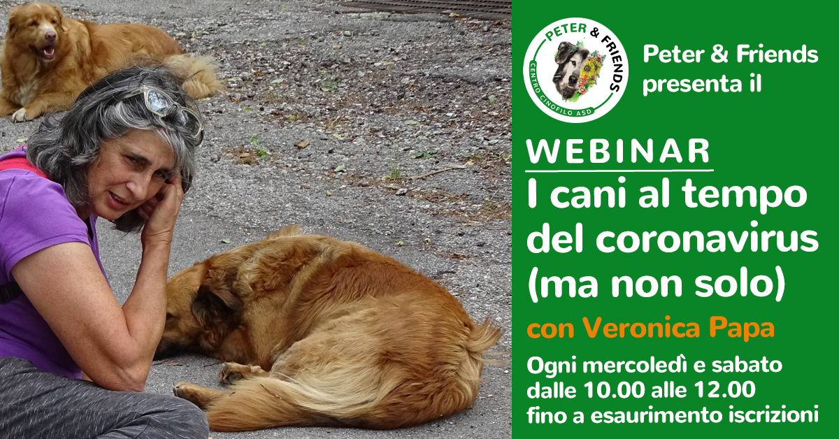 Webinar I cani al tempo del coronavirus mer-sab Webinar I cani al tempo del coronavirus mer-sab